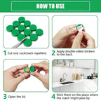 Trenqle Cockroach Killer Gel (Pack of 2) | Powerful Roach Control Solution for Kitchen & Home