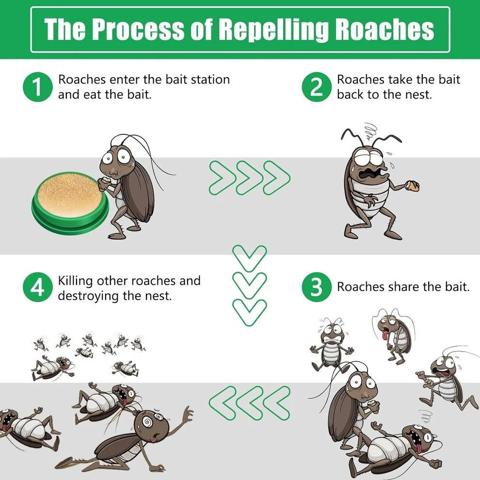 Trenqle PestGuard Advanced Cockroach Killer Gel – Instant, Long-Lasting, Safe for Kitchens & Homes