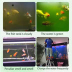 Trenqle Aquarium Water Purification Tablets | Crystal Clear Fish Tank Cleaner (Pack of 1)