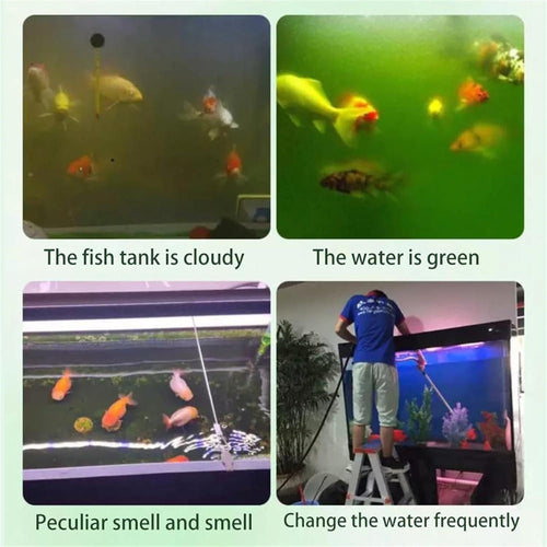 Trenqle Aquarium Water Purification Tablets | Crystal Clear Fish Tank Cleaner (Pack of 1)