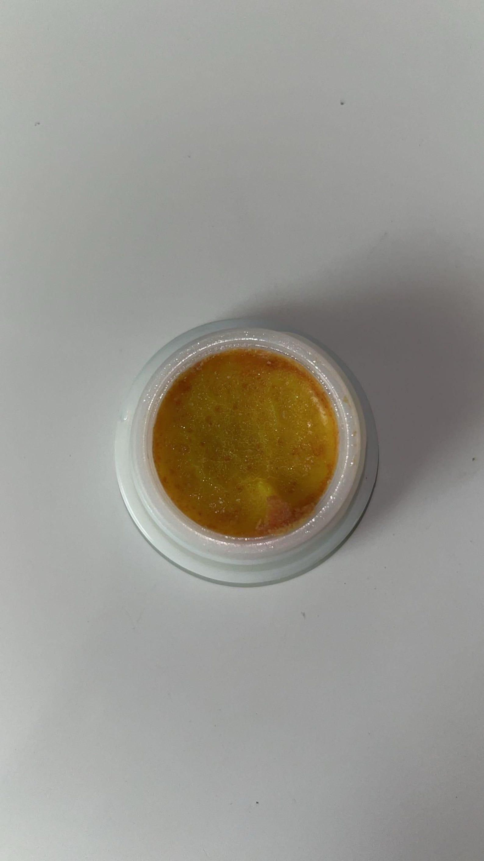 Trenqle PestGuard Advanced Cockroach Killer Gel – Instant, Long-Lasting, Safe for Kitchens & Homes